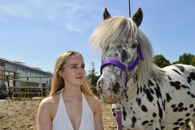 Lotte ser på ponnien sin Sparrow i ridebanen